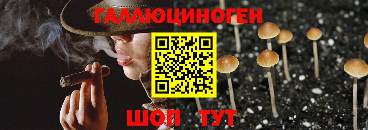 Анжеро-Судженск  Галлюциногенные грибы GOLDEN TEACHER  магазин  наркотиков  Вход с VPN 